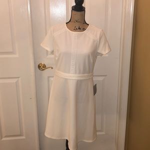 NWT! Spence Fit and Flare Scuba Dress